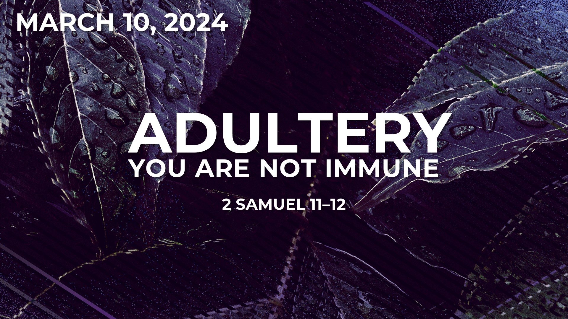 Adultery, You Are Not Immune